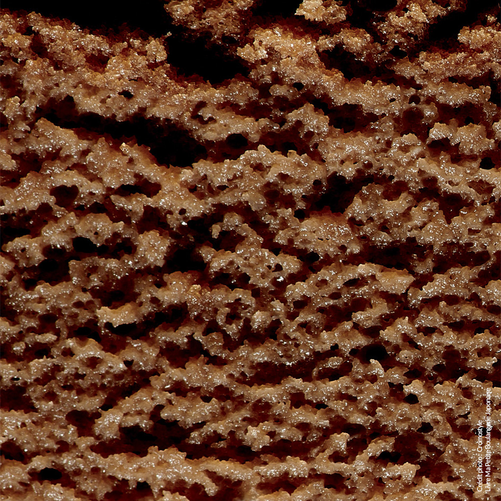 Texture aérienne Cheesecake Chocolat